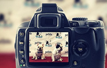 INFLUENCERI + INSTAGRAM. PREČO PRÁVE TÁTO KOMBINÁCIA?